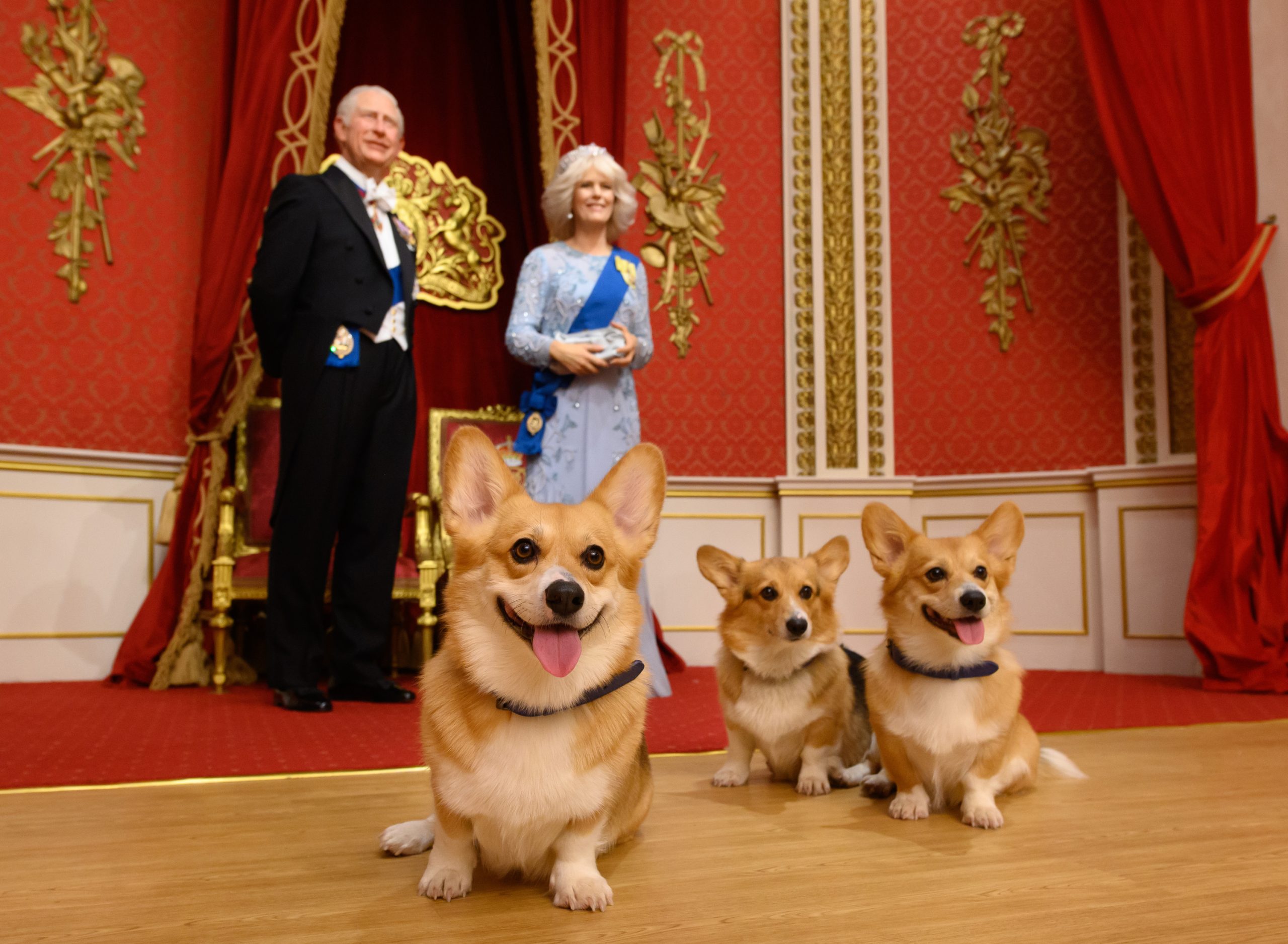 madame-tussauds-has-a-new-royal-display-ahead-of-the-king’s-coronation