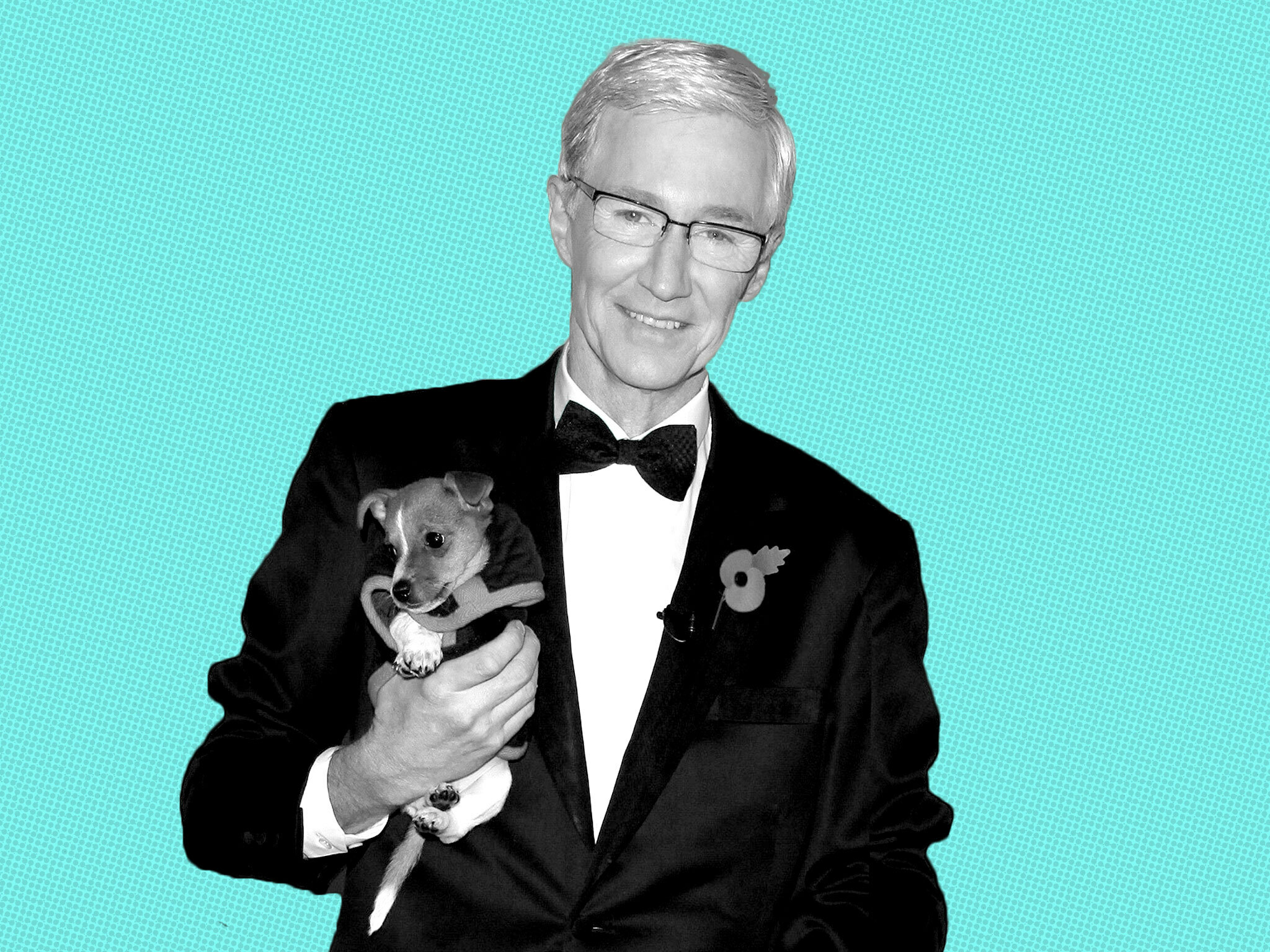 paul-o’grady’s-battersea-dogs-&-cats-home-tribute-fund-passes-200k