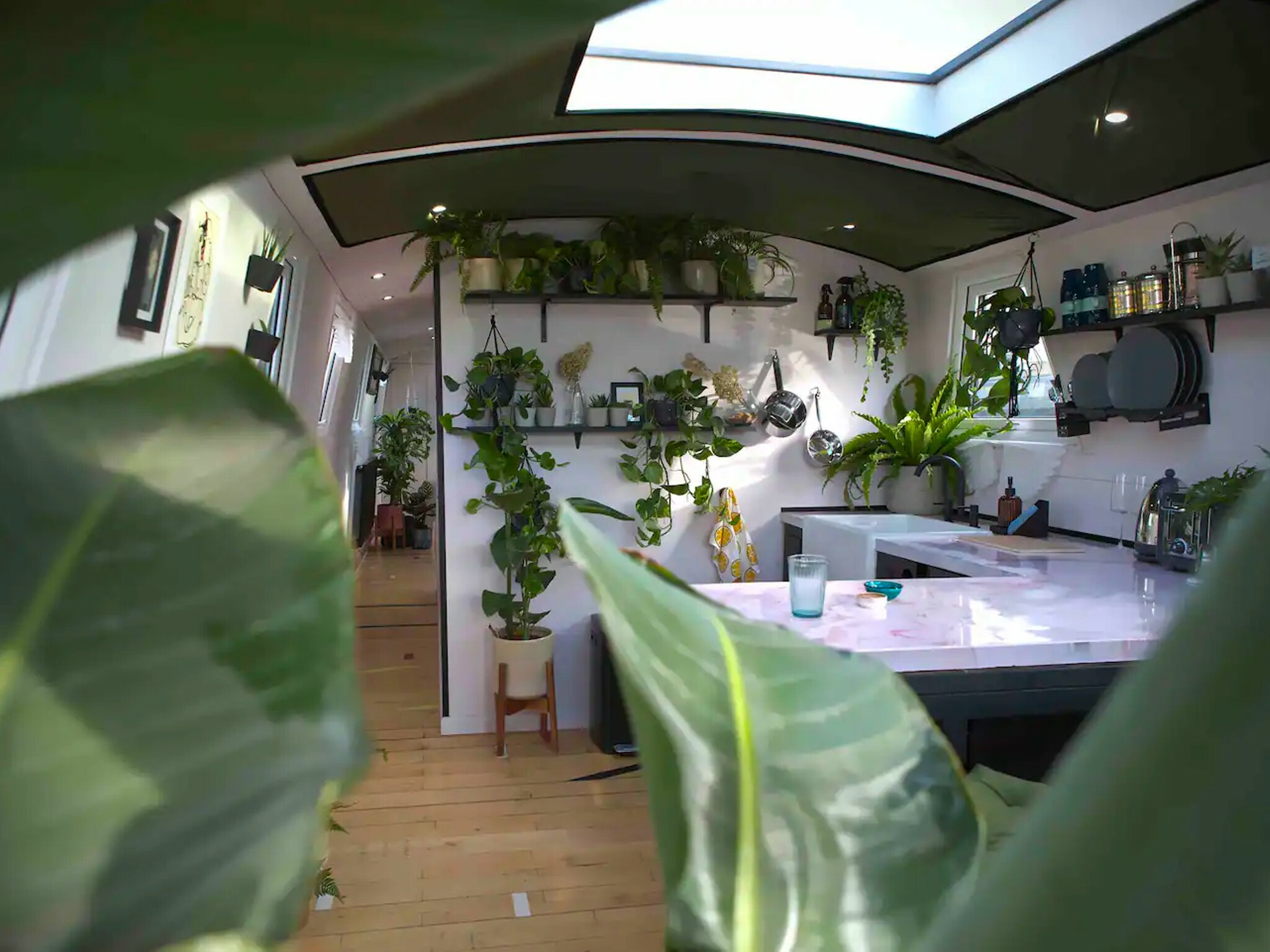 the-world’s-first-‘floating-terrarium’-is-in-london-–-and-you-can-stay-in-it