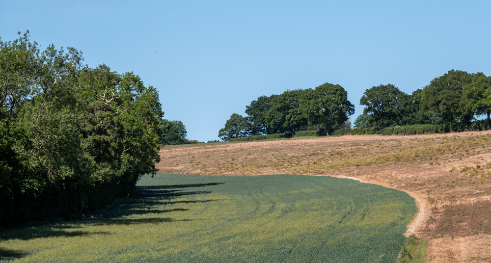 the-hilly,-lush-and-‘bucolic’-trail-that-is-officially-one-of-the-best-scenic-walks-near-london
