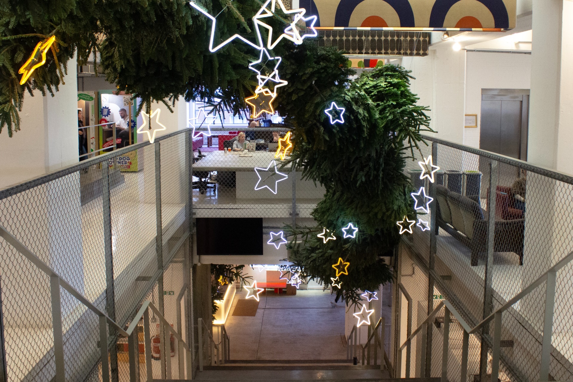 the-tallest-christmas-tree-in-london-has-been-unveiled