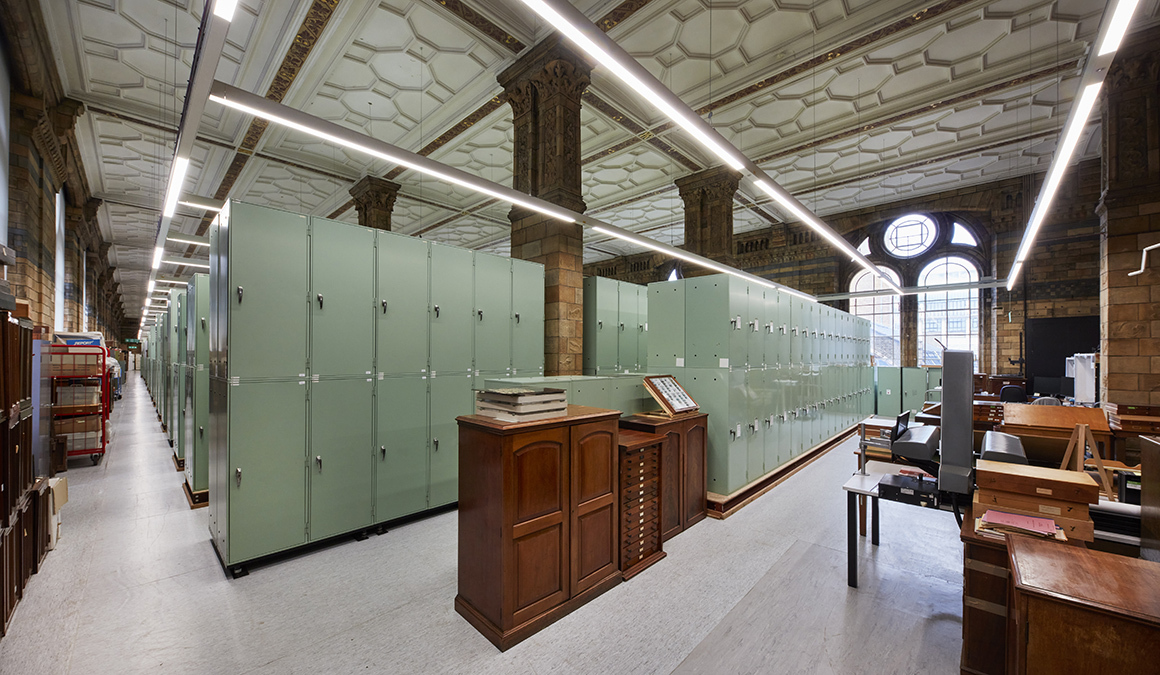 the-natural-history-museum-is-opening-two-galleries-that-have-been-closed-for-decades