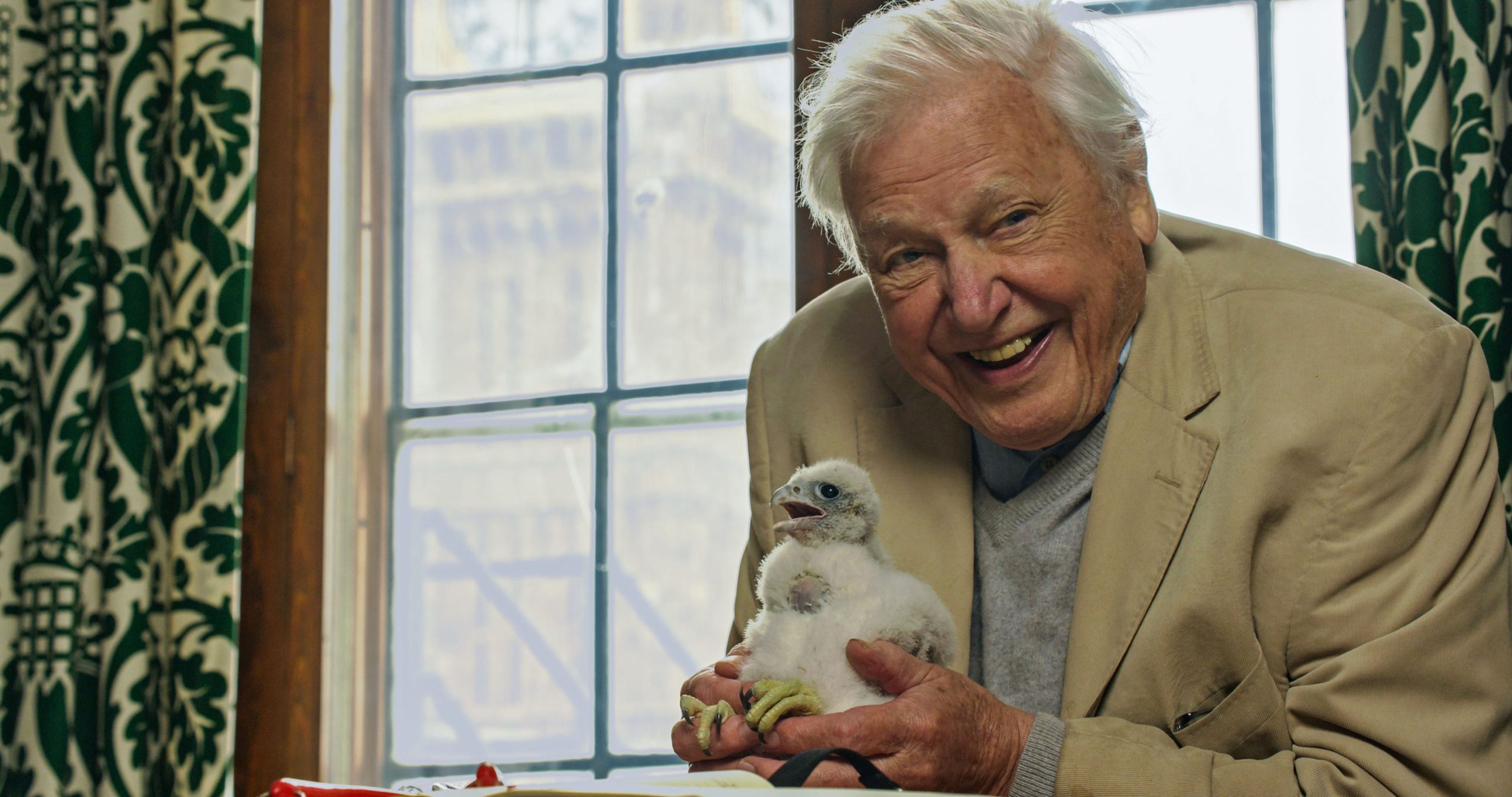 ‘wild-london’:-5-things-we-learned-from-david-attenborough’s-london-nature-doc