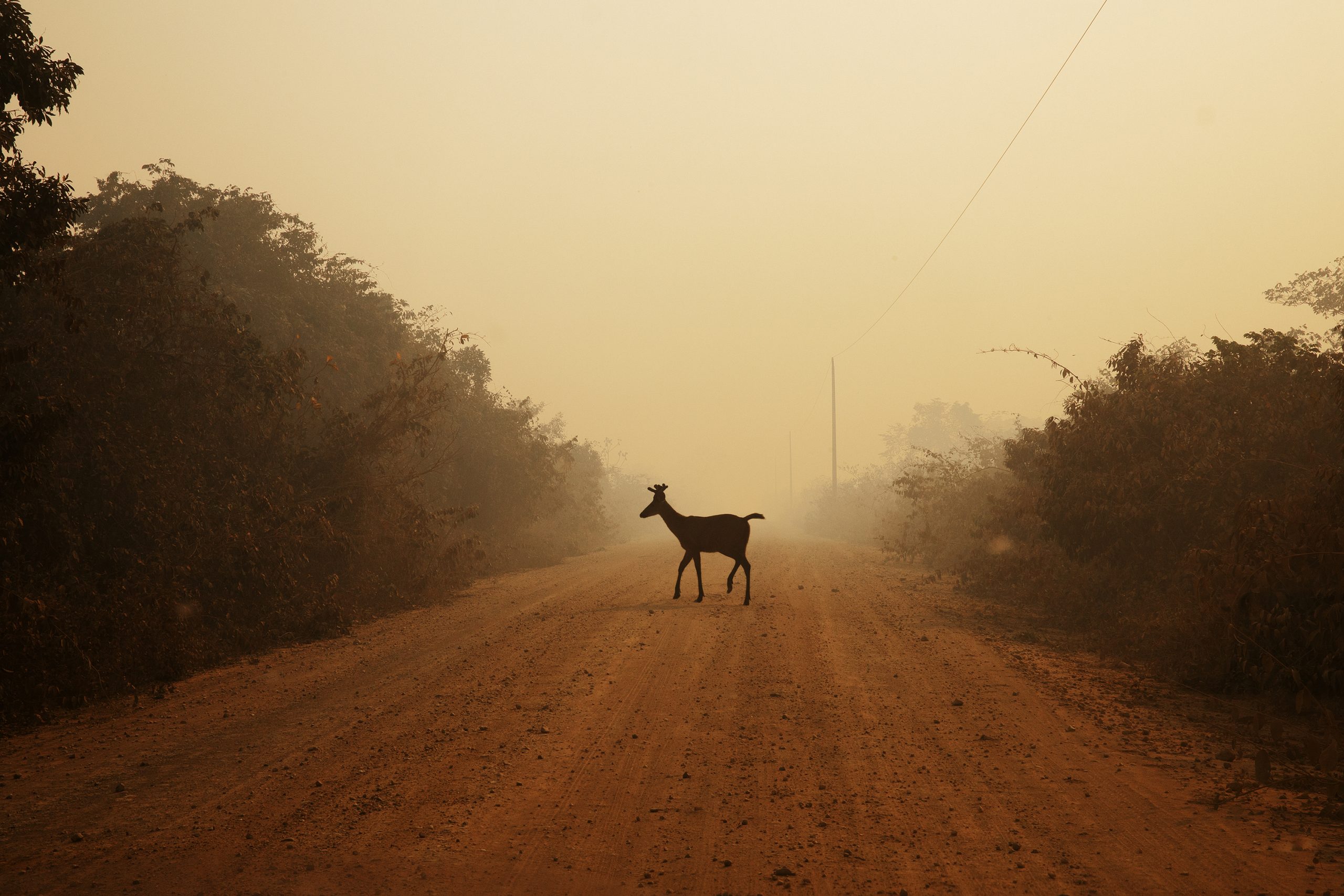 the-8-best-photography-exhibitions-coming-to-london-in-2026