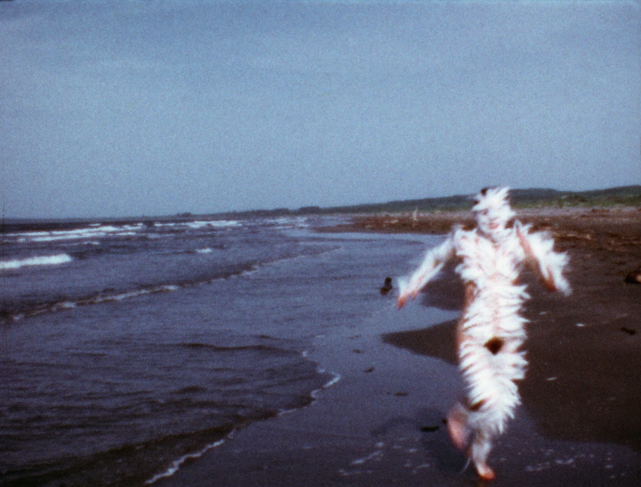 the-cult-female-artist-that-is-getting-her-biggest-ever-uk-exhibition-at-tate-modern-this-summer-–-here’s-why-it’s-one-of-the-most-important-shows-happening-in-london-in-2026