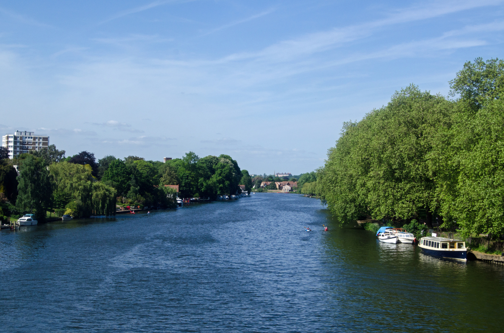 london-is-set-to-get-the-city’s-first-wild-swimming-spot-in-the-river-thames
