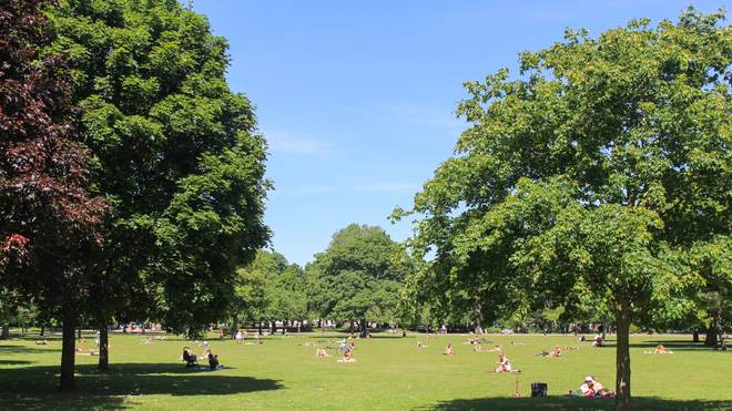 victoria-park’s-summer-festival-usage-could-increase-by-more-than-double