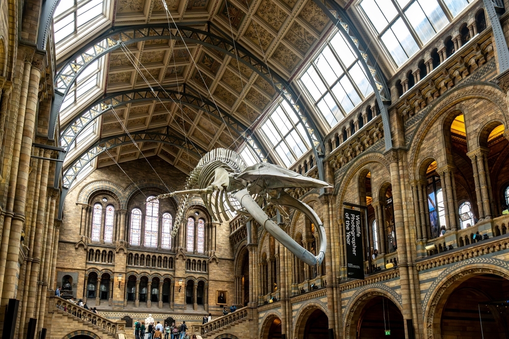 this-free-london-museum-is-officially-one-of-the-greatest-in-the-world